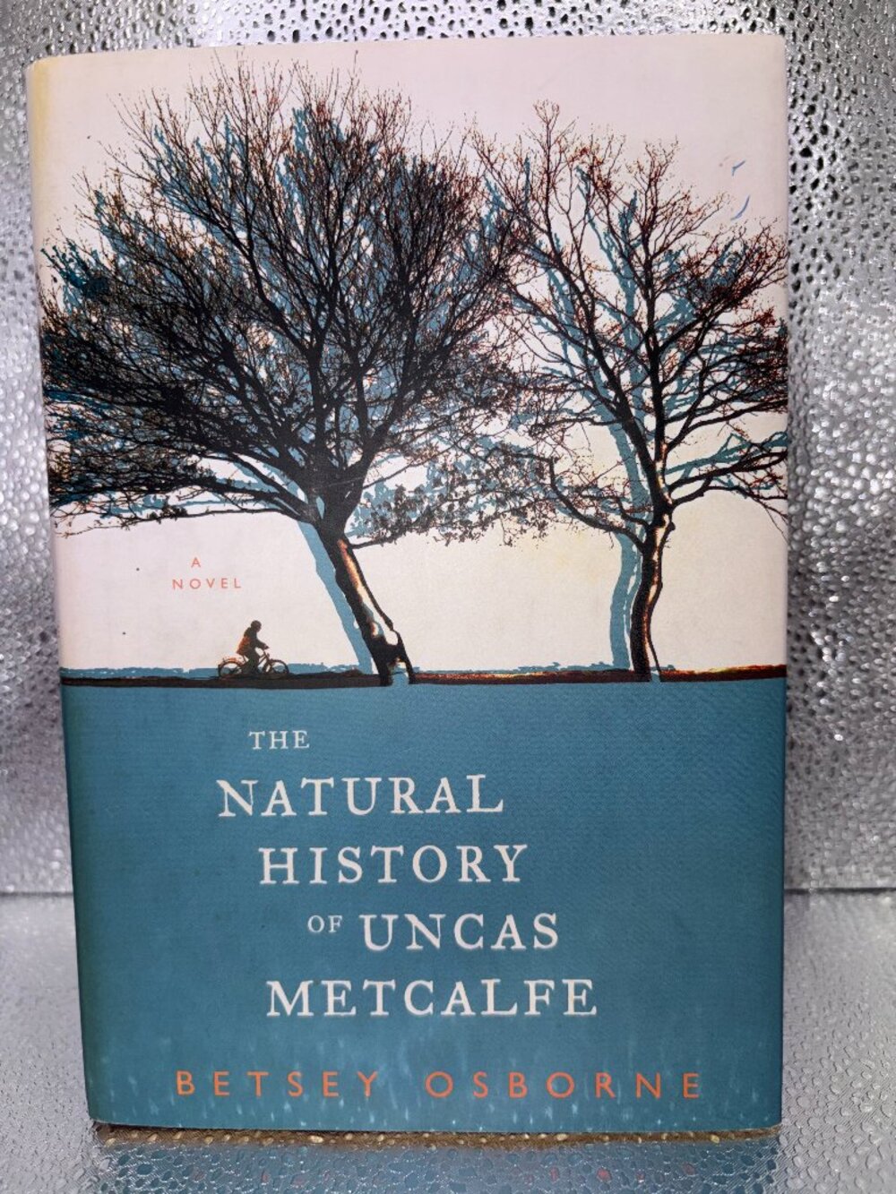 🌲 Betsey Osborne Contemporary Fiction Novel: The Natural History of Uncas Metca